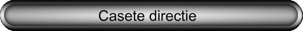 Casete directie