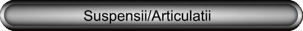 Suspensii/Articulatii