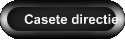 Casete directie