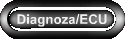Diagnoza/ECU