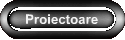 Proiectoare