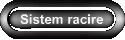 Sistem racire