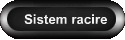 Sistem racire